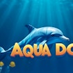 Aqua Dolphin