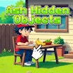 Ash Hidden Objects