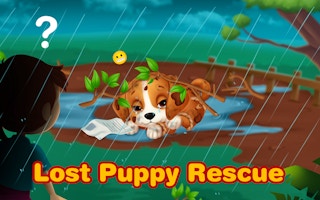 Image Lost Puppy Rescue and Care